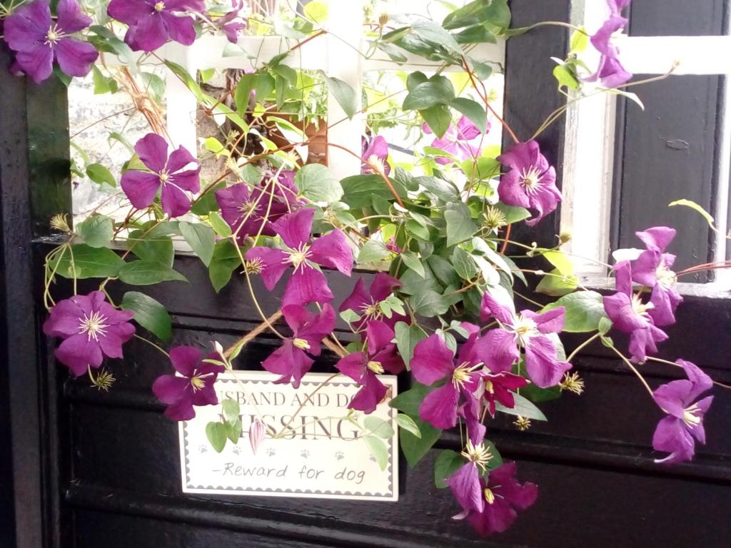 The entrance door of Puddle Duck Lodge with flowers